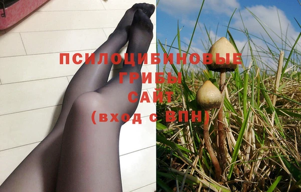 тгк Абинск