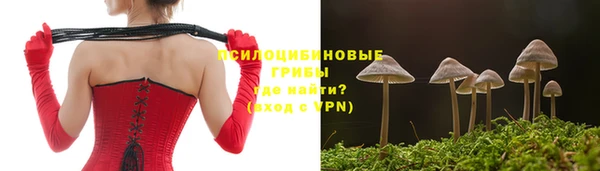 героин Абаза