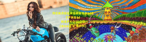 героин Абаза