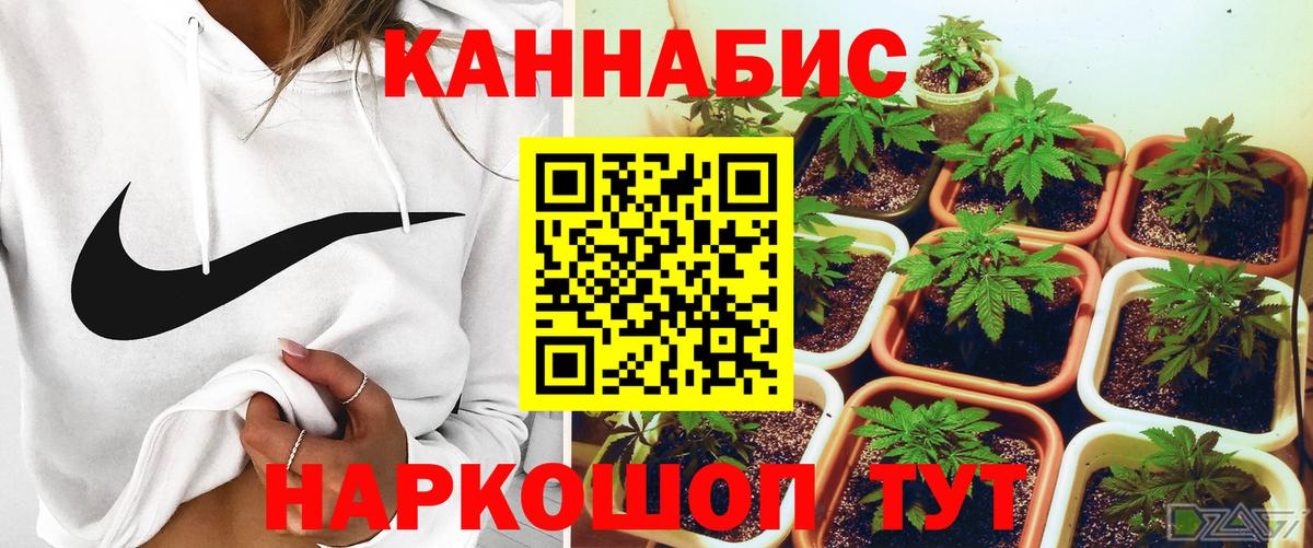 Краснодар  Канабис Bruce Banner  Каннабис семена  Вход с VPN  Конопля Amnesia 